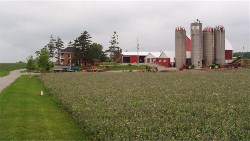 Hoover Farm in Recent Years